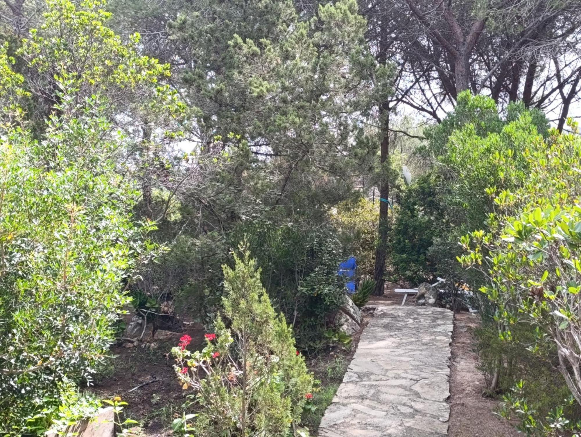 Casa Le Farfalle Capo Coda Cavallo Exterior foto